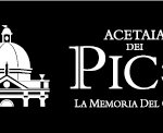 logo_acetaiapico